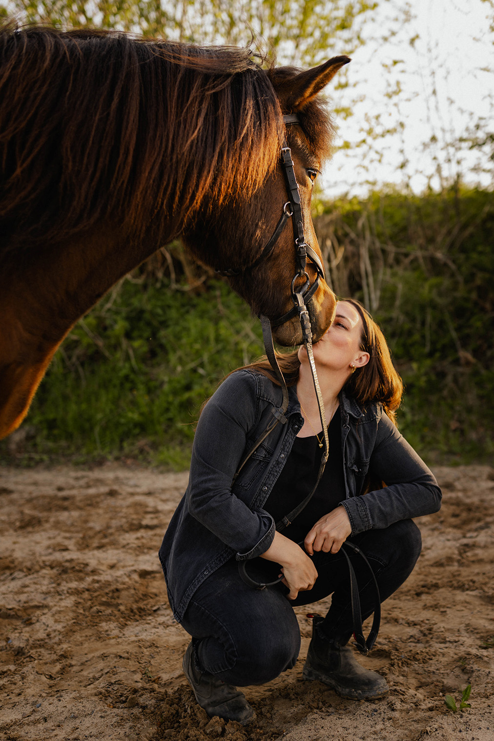 Tierfotografie - Tier-Fotoshootings im Raum Rüthen und Umgebung